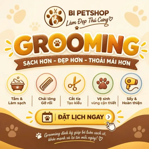 GROOMING THÚ CƯNG TẠI BI PETSHOP 