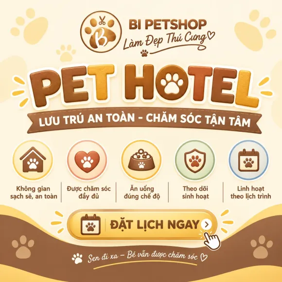 PET HOTEL TẠI BI PETSHOP