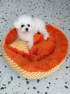 Nệm Nằm Cho Chó Mèo Dạng Tròn