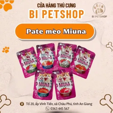 Hạt Mèo PetQ C90