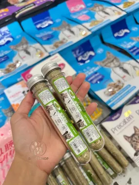 Cỏ Mèo