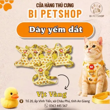 Dây Yếm Dắt Vịt Vàng