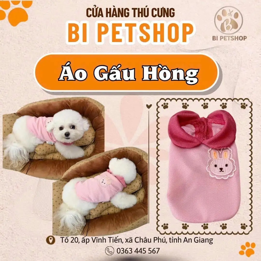 Áo Gấu Hồng
