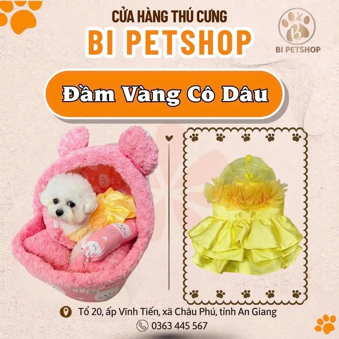Đầm Vàng Cô Dâu