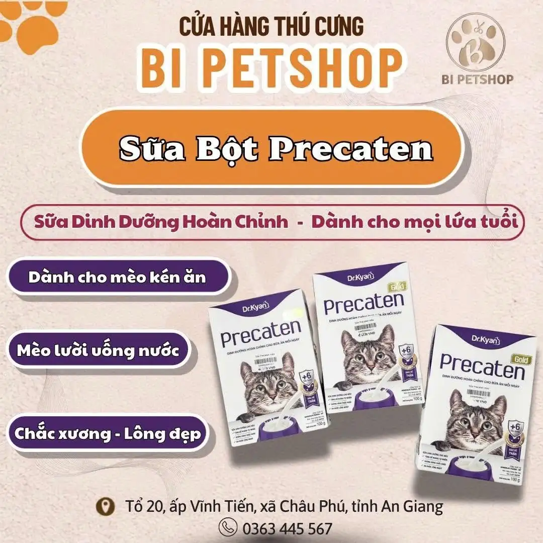 Sữa Bột BreCaten