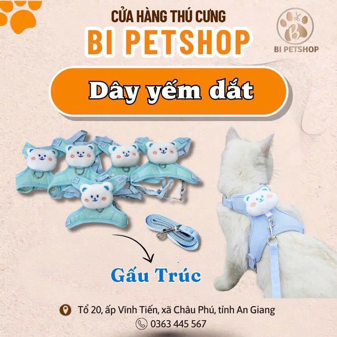 Dây Yếm Dắt Gấu Trúc