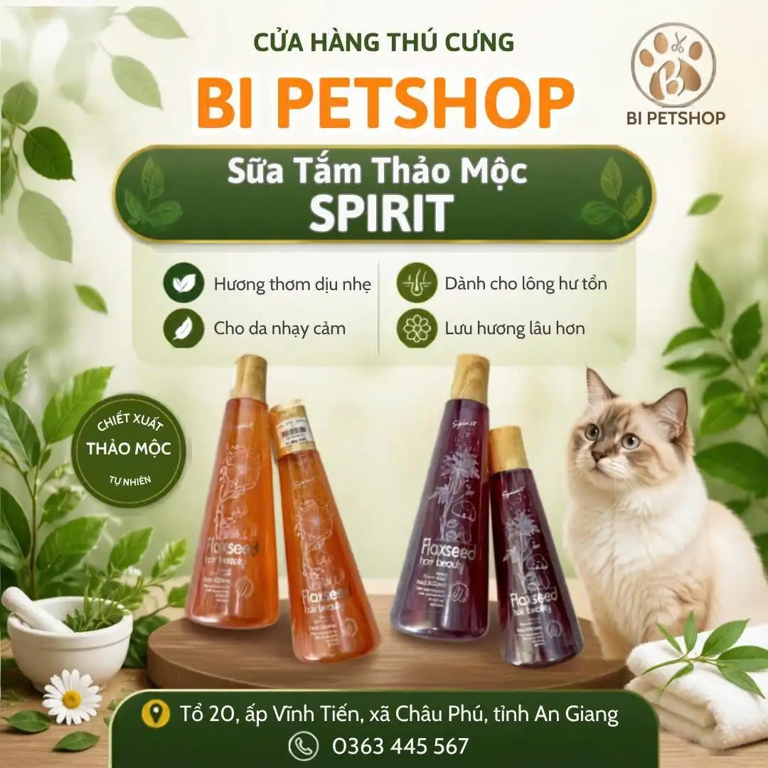 Sữa Tắm Thảo Mộc SPIRIT